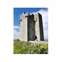 Gleninagh Castle On Hill photo sculptures