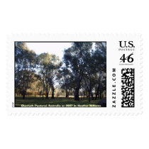 Glenloth Paddock Postage Stamp