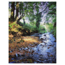 Gleno Falls 6 flyers