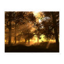 Glenwood posters by digitalblasphemy Glenwood posters