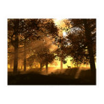 Glenwood posters