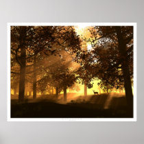 glenwood, deer, digitalblasphemy, sunlight, nature, digital, cgi, bliss, sunrises, sunsets, Poster with custom graphic design