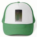 Glerion V6 hats