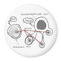 Glial Cells Magnet by bumpybrains Glial Cells Magnet