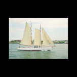 Gliding in Full Sail Canvas Wall Hanging canvas prints