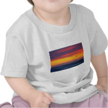 Gliding Out to Sea Tee Shirt