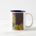 Glimph1 mugs