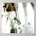 glimpse of a woman poster