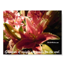 Glimpses of insight are jewels for the soul. posters
