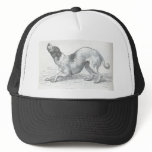 Glimpses of the Animate World - An affectionate Do Mesh Hat