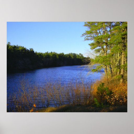 Glistening Pond Poster or Canvas Print