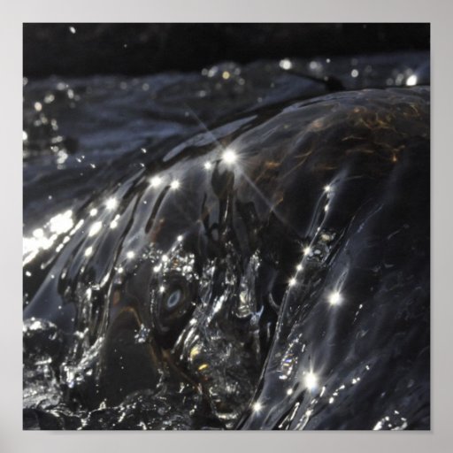 Glistening Print
