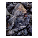 Glistening Rocks posters
