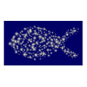 Glitter Fish profilecard