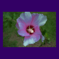 "Glitter Flower" posters