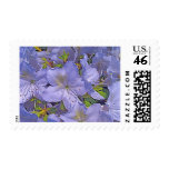 purple, flower, azalea, azaleas, flora, floral