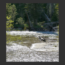 Glittering Creek posters