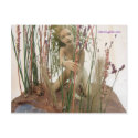 Glittering Glen Postcard - Nori