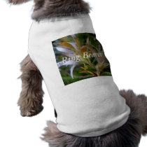 Glittering rain pet clothing by Floralwedding Glittering rain pet clothing