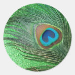 Glittery Green Peacock Feather Still Life Round Stickers