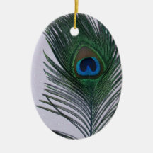 Glittery White Peacock Feather Still Life Ornaments