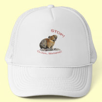 Global Warming hats