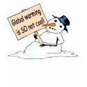 Global Warming is SO Not Cool t-shirts