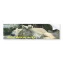 Global Warming Sucks! Polar Bear Bumpersticker