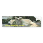 Global Warming Sucks! Polar Bear Bumpersticker Bumper Stickers