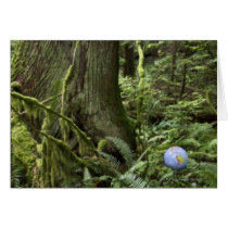 Globe in forest greeting cards