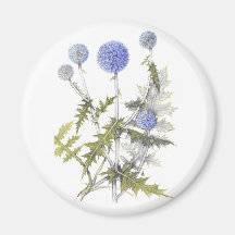 Globe Thistle Collection Refrigerator Magnets