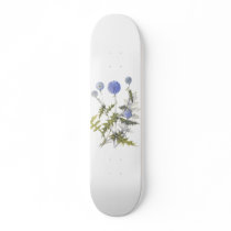 Globe Thistle Collection skateboards