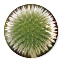 Globe Thistle Magnet