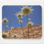 Globe Thistle Mousepad mousepads