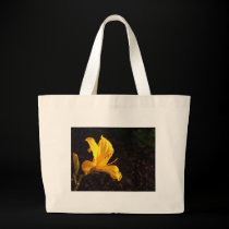gloire de matin bags