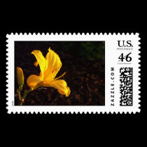 gloire de matin stamps
