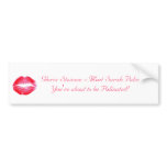 Gloria Steinem - Meet Sarah Palin Bumper Stickers