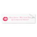 Gloria Steinem - Meet Sarah Palin bumper stickers