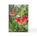 Gloriosa Lilies cards by joeyartist Gloriosa Lilies cards