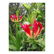 Gloriosa Lilies posters by joeyartist Gloriosa Lilies posters