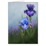 "Glorious Bearded Irises II" Cards