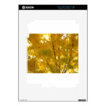 Glorious Gingko iPad 2 Skin