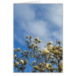 Glorious Magnolia Card