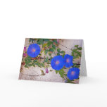 Glorious Morning Greeting Card