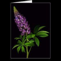 Glorious Purple cards