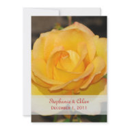 Glorious Rose Wedding Invitations invitation