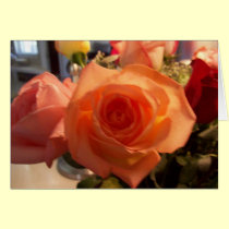 glorious roses photo by Gwen Billips cards