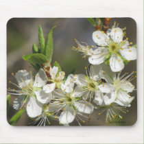 Glorious Spring Mousepad mousepads