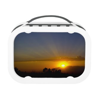 Glorious Sunset Lunchboxes
