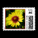 Glorious Sunshine  Postage postage